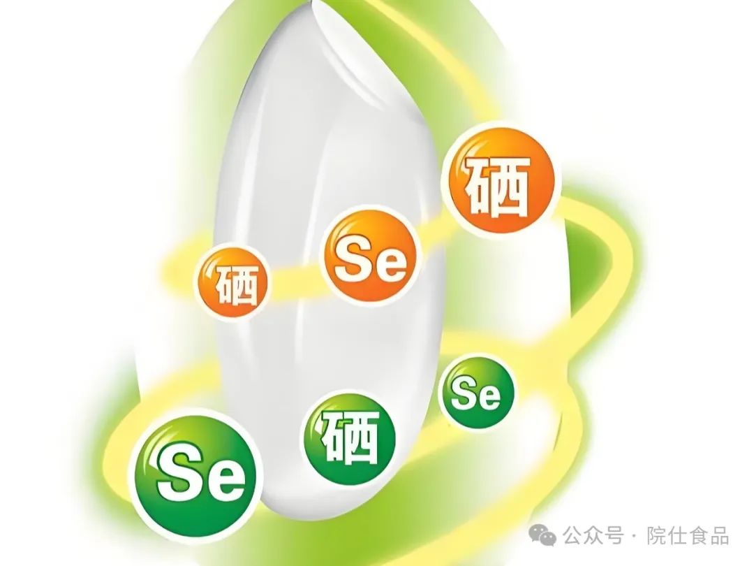 中老年如何补硒减肥最好