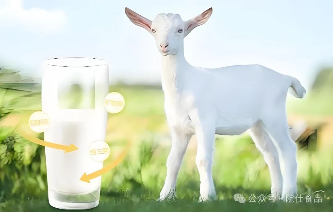 中老年如何补硒减肥最好