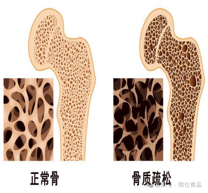 中老年如何补硒减肥最好