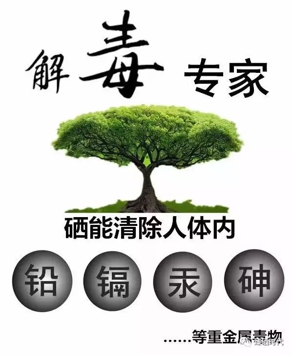 哪个地区不用补硒的植物