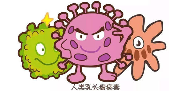 对hpv病毒有效的补硒