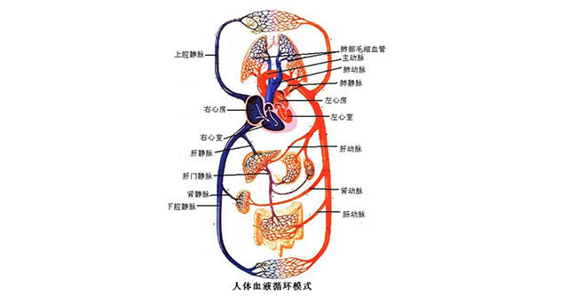 补硒怎么血糖比以前还高