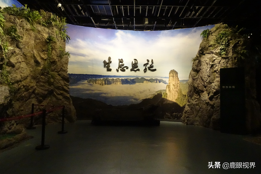 科学补硒 健康生活柳州