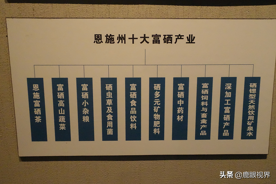 科学补硒 健康生活柳州