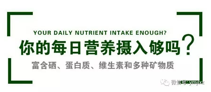 甲减补硒推荐什么药物好