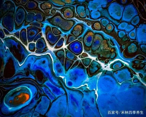 补硒又补锌的药物有哪些