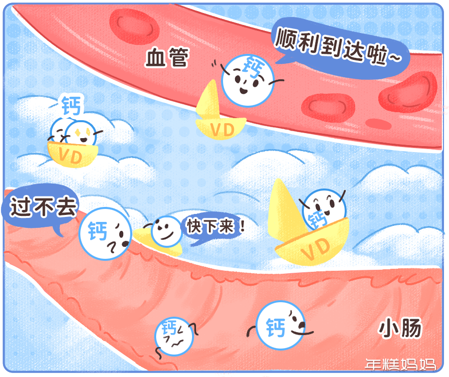 大人补钙吃什么钙片好