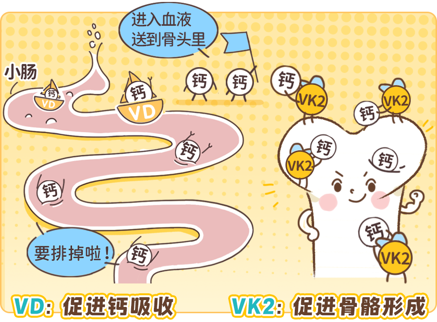 大人补钙吃什么钙片好