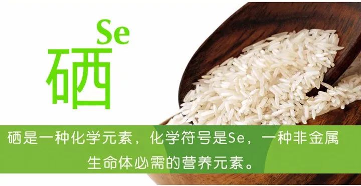 儿童脱发补硒推荐维生素
