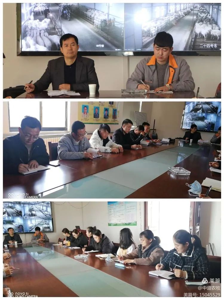 给小羊羔补硒吃什么最好