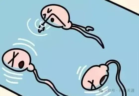 男士备孕补锌补硒的食物