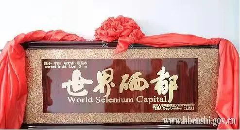 中国营养协会建议补硒量