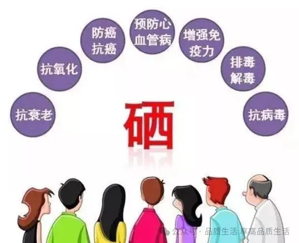 你如何给自己补硒的机会
