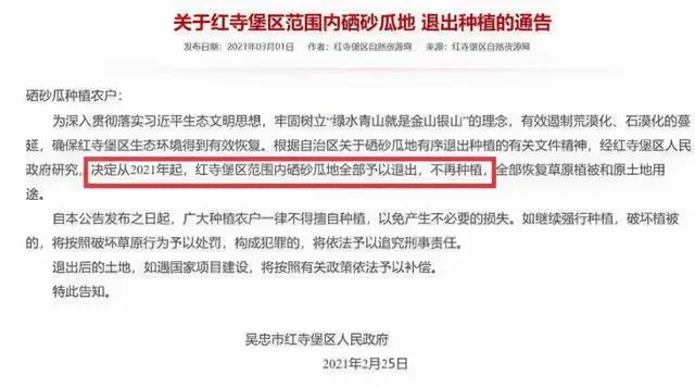 宁夏硒砂瓜不让种补多少