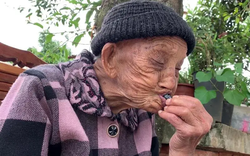 吃什么水果能补维硒元素