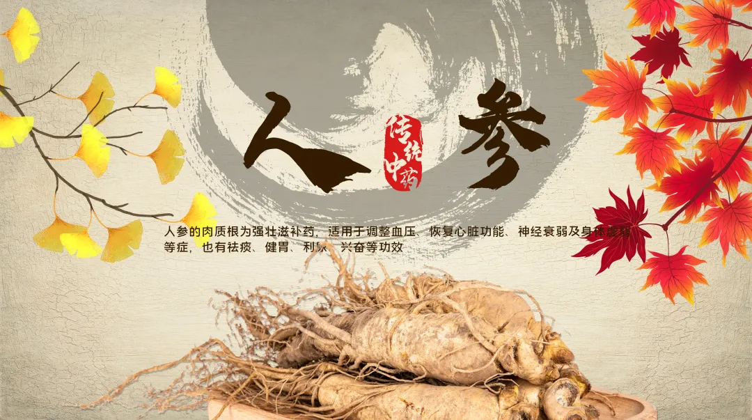 硒需要补多久调节内分泌