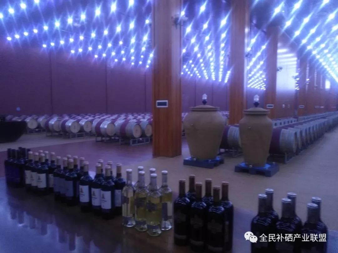 全民补硒工程是什么时间