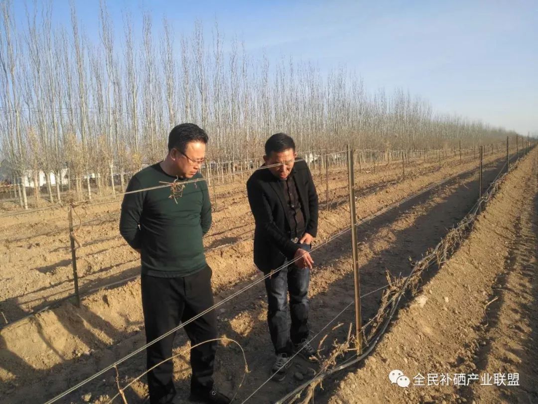全民补硒工程是什么时间