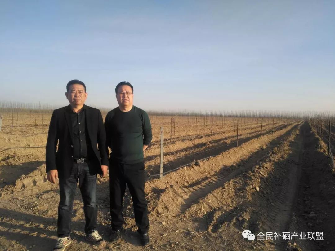 全民补硒工程是什么时间