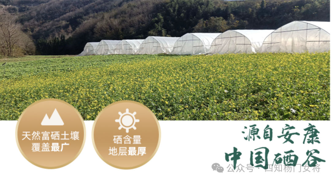 什么是科学补硒法的标准