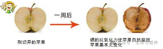 癌症有没有必要补硒元素
