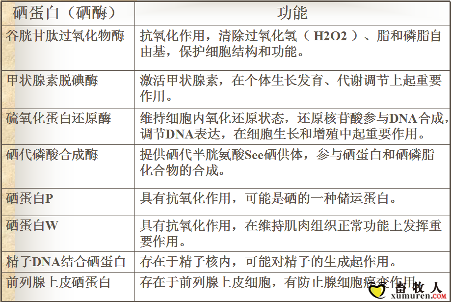 2345截图20161225083247.png