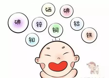 幼儿怎么补锰和硒的食物