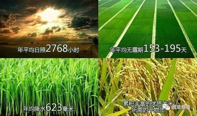 补硒防癌作用到底有多大