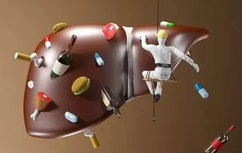 补硒是不是排毒的食物呀