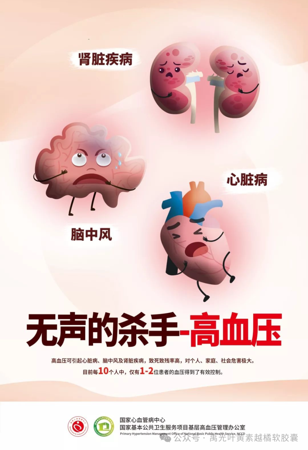出血病人能补硒吗吃什么