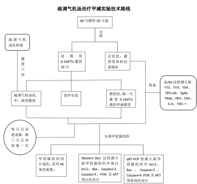 桥本氏甲状腺炎补硒的药