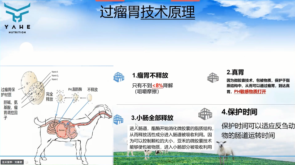 羔羊七天补硒多少克好呀