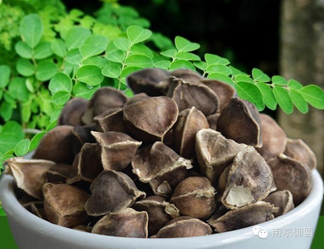 长期吃降压药缺硒怎么补
