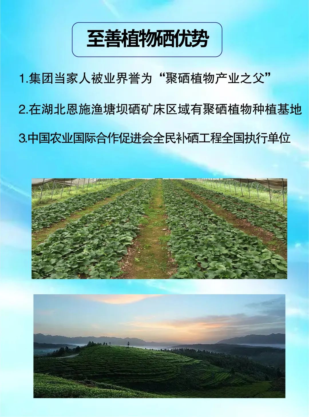 补硒的特效药是什么成分