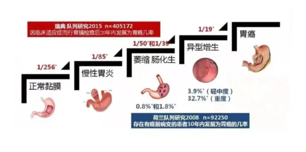 萎缩性胃炎怎样补硒的呢