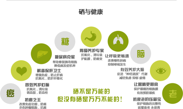 青少年需要补硒蛋白质吗