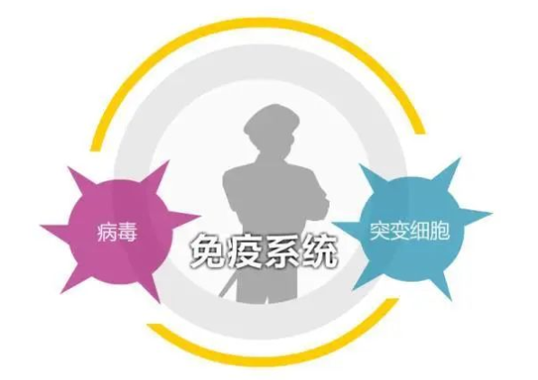 补硒如何抵抗病毒和细菌