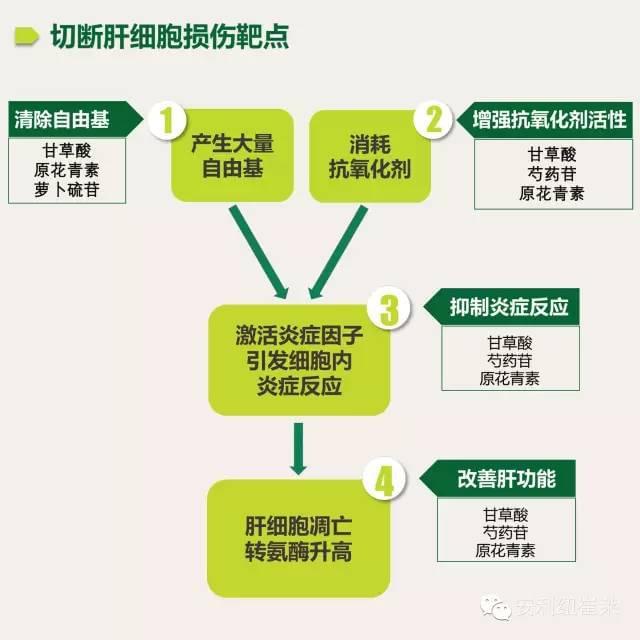 补微量元素硒可以养肝吗