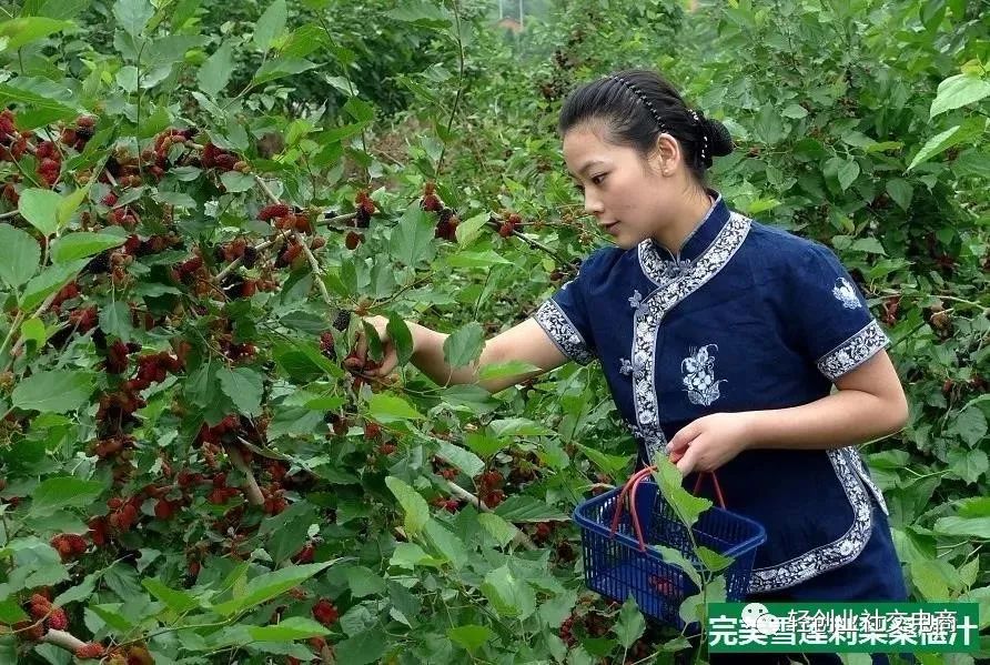 硒能补视网膜感光材料吗