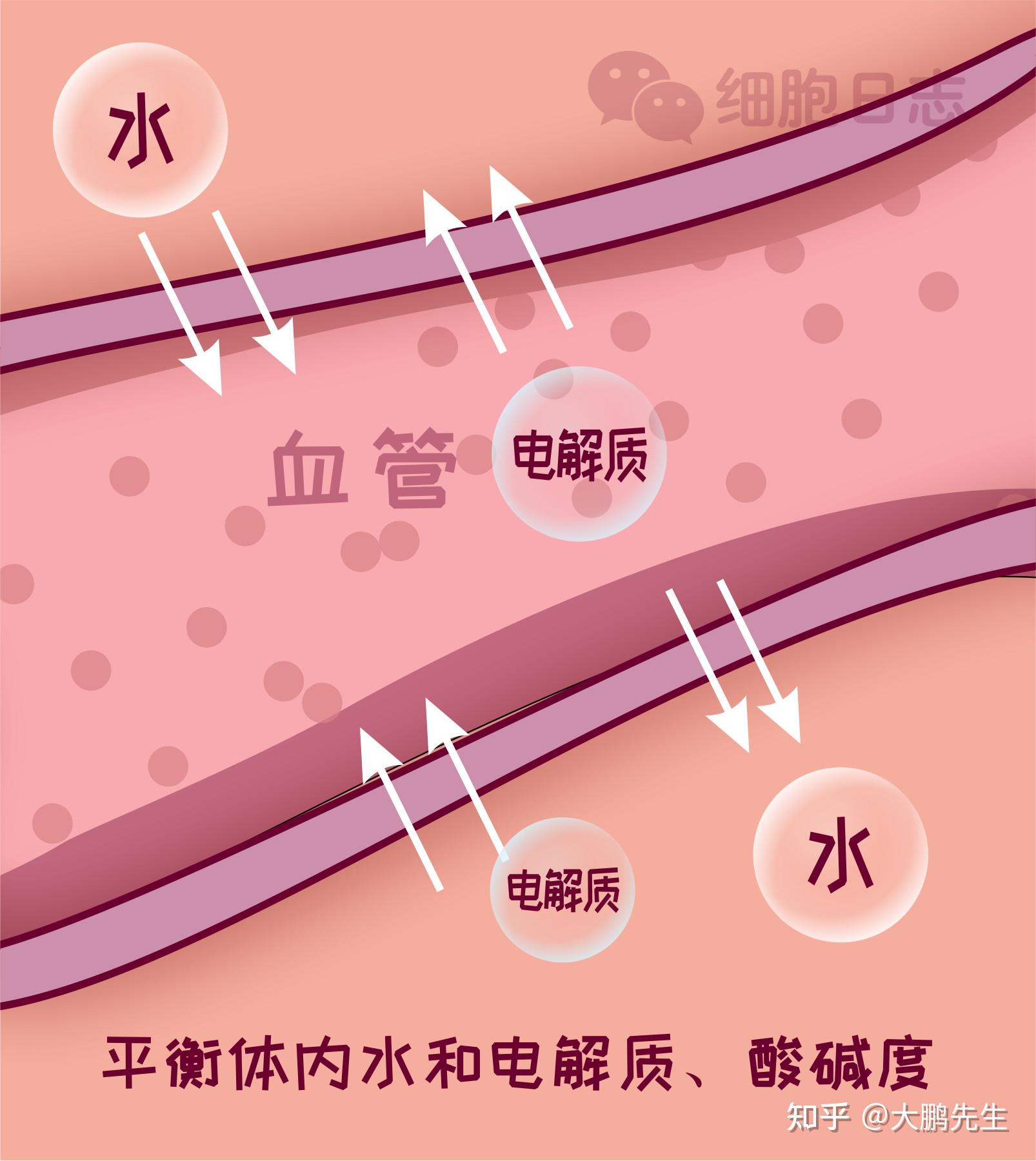 补硒可以对抗新冠病毒吗