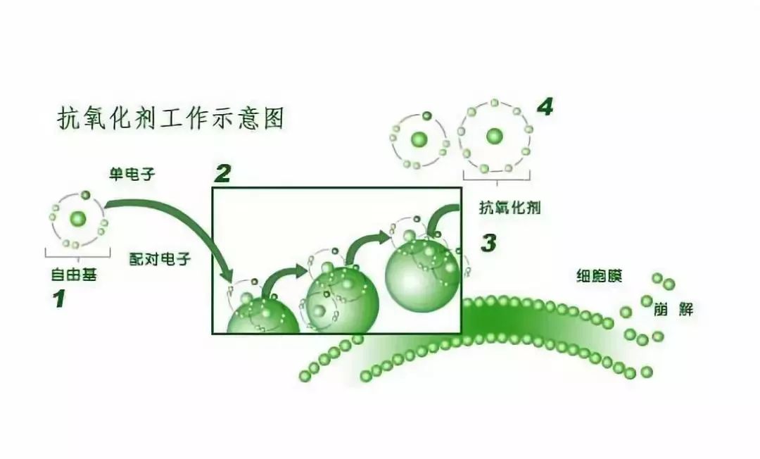你是如何给家人补硒的呢