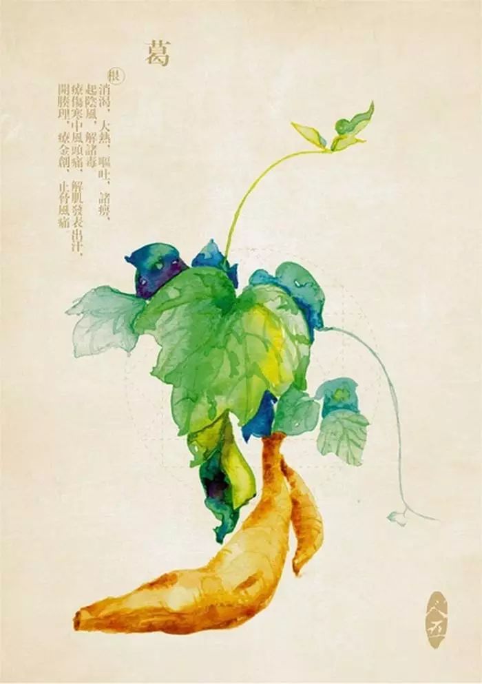 适量补硒对肝肾有损伤吗