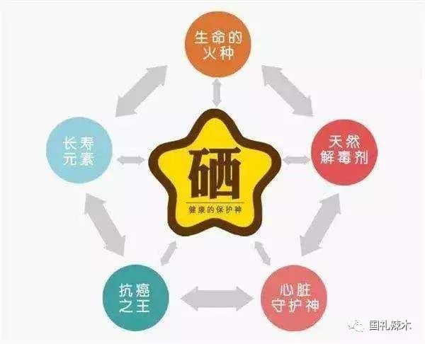 适量补硒对肝肾有损伤吗