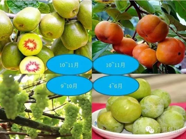 补硒后糖化血红蛋白水平