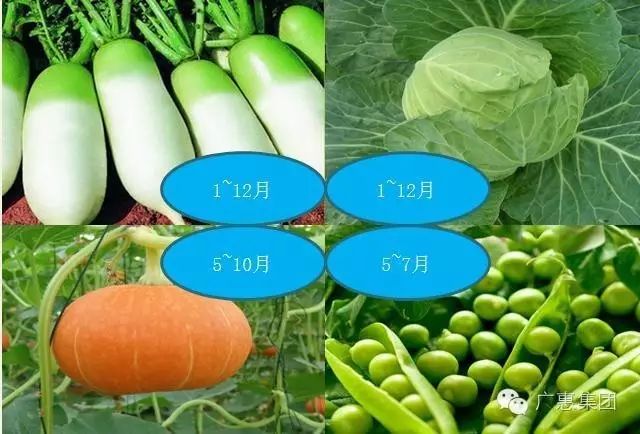 补硒后糖化血红蛋白水平