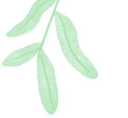 牛正常一年补几次钙和硒