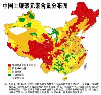 哪些维生素补硒好一点的