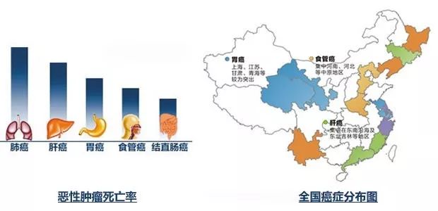 哪些维生素补硒好一点的
