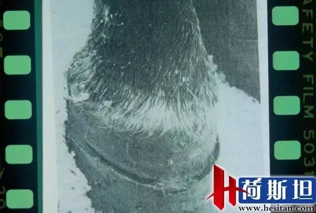 羊缺镁铜硒可以一起补吗