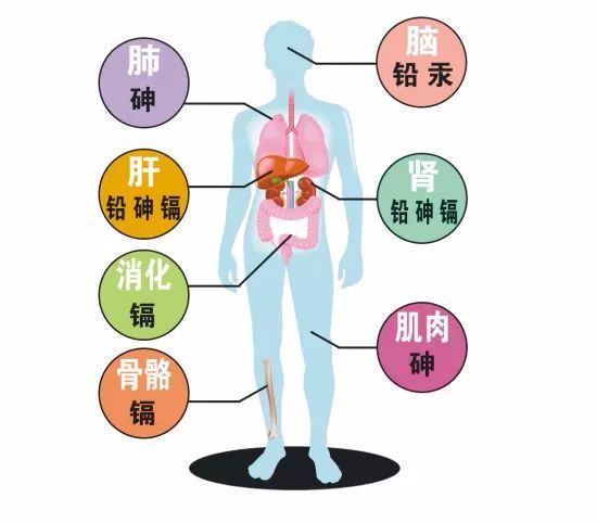 补硒第一品牌是哪个国家